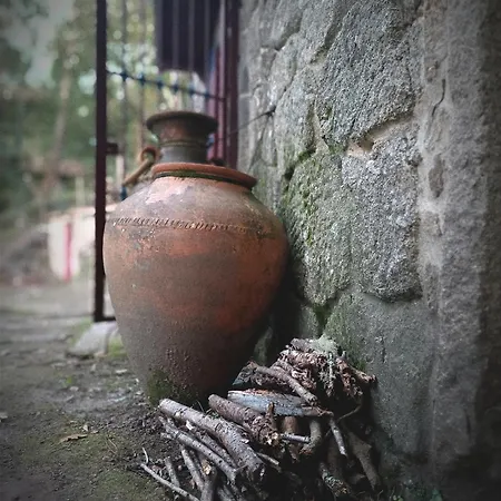 Tatil Evi Casa Bodega Sacra *